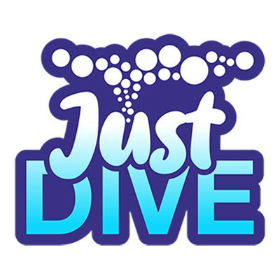 Just Dive – kursy nurkowania w Krakowie